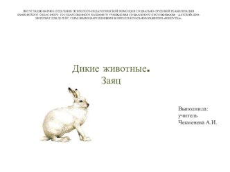 Презентация к уроку Дикие животные.Заяц презентация к уроку по окружающему миру (1 класс)