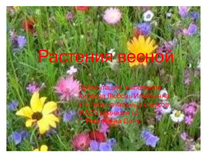 Растения веснойПрезентацию выполнилаКиреева Любовь ИльиничнаУчитель