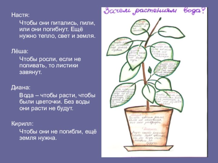 Настя:   Чтобы они питались, пили, или они погибнут. Ещё нужно