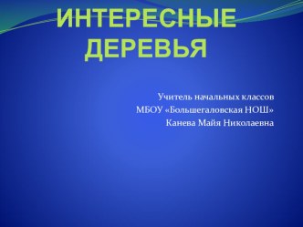 Необычные деревья презентация к уроку по окружающему миру