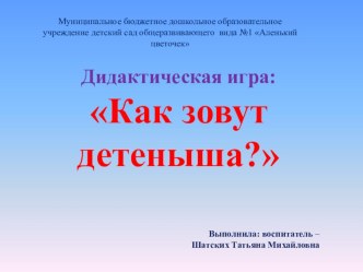 Презентация У кого какой детеныш? презентация к уроку по развитию речи (средняя группа)