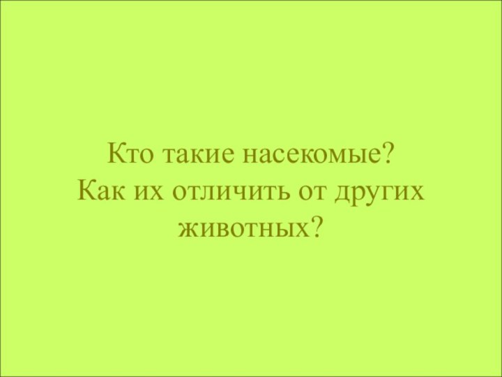 Кто такие насекомые? Как их отличить от других животных?