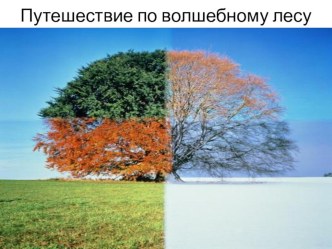 Конспект занятия по ФЭМП для детей старшего возраста Путешествие по волшебному лесу  план-конспект занятия по математике (старшая группа)