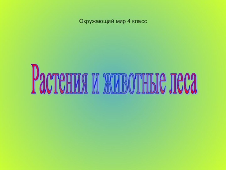 Окружающий мир 4 классРастения и животные леса