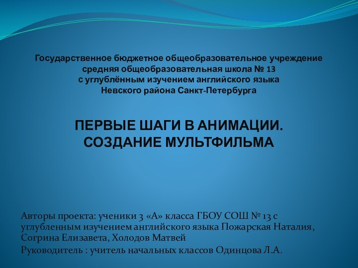 Государственное бюджетное общеобразовательное учреждение средняя общеобразовательная школа № 13