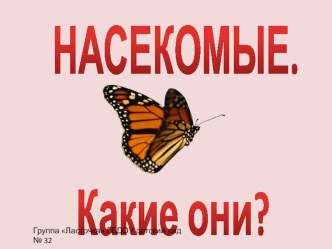 Учебно-методическое пособие Насекомые. Какие они? методическая разработка по окружающему миру (старшая группа) по теме