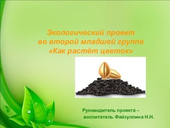 Проект Как растёт цветок презентация к уроку (младшая группа)