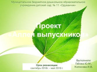 Проект Аллея выпускников проект (подготовительная группа)