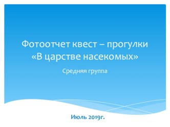 Фотоотчет квест – прогулки В царстве насекомых презентация к уроку по окружающему миру (средняя группа)