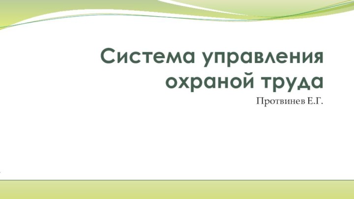 Система управления охраной трудаПротвинев Е.Г.