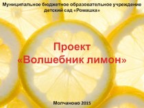 проект  Волшебник - лимон проект (подготовительная группа)