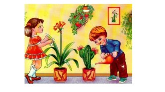 Презентация Комнатные растения презентация к уроку по логопедии (старшая группа)