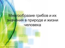 Многообразие грибов и их значения в природе и жизни человека презентация к уроку по окружающему миру (4 класс)