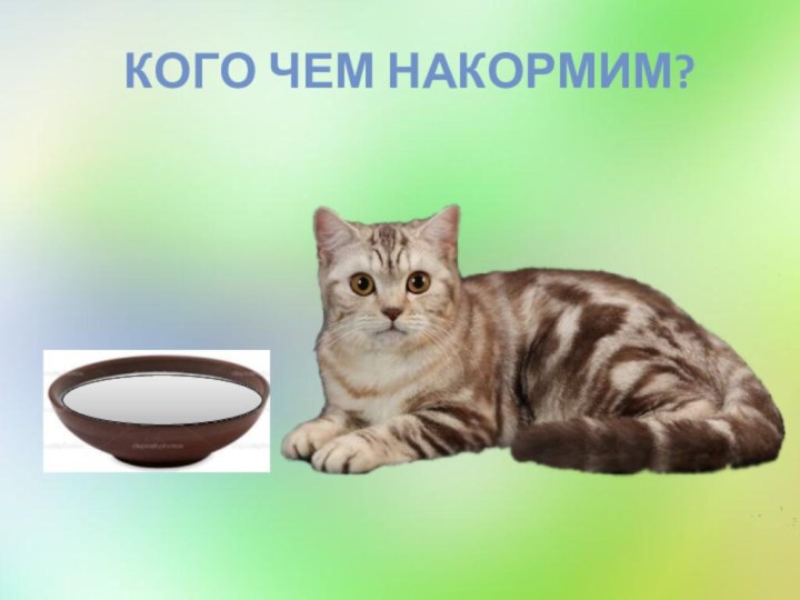 Кого чем накормим?