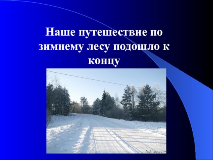 Наше путешествие по зимнему лесу подошло к концу