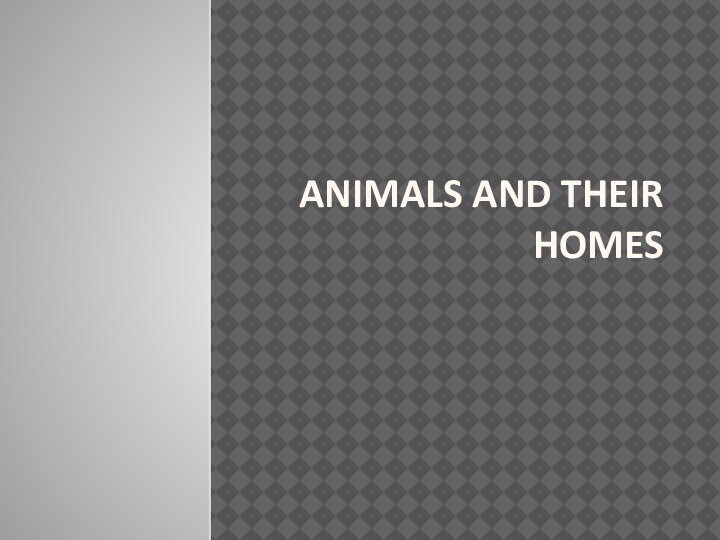 Animals and their homes