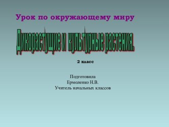 Дикорастущие растения 2 класс презентация к уроку по окружающему миру (2 класс)