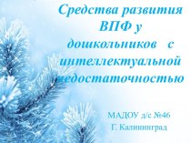 Средства развития ВПФ у дошкольников с интеллектуальной недостаточностью статья по теме