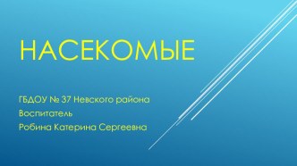 Презентация  Насекомые презентация к уроку (младшая группа) по теме