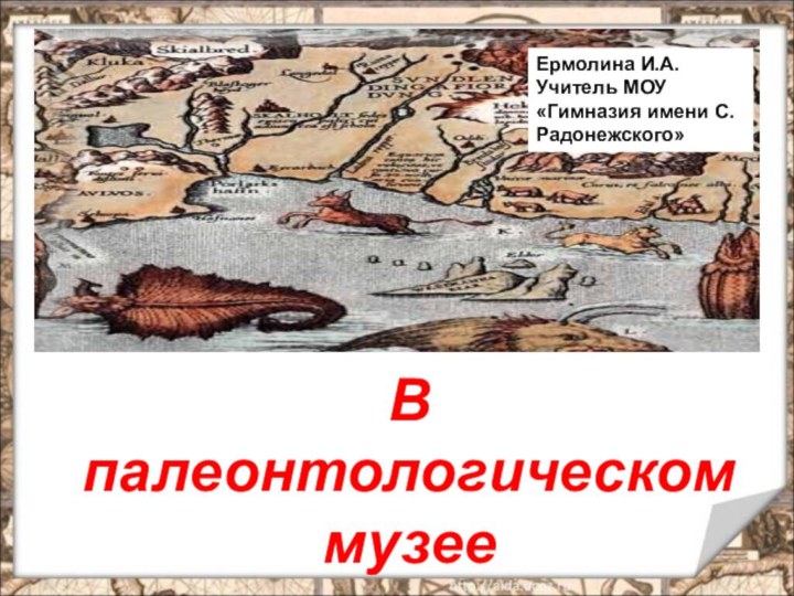 В палеонтологическом музееЕрмолина И.А.Учитель МОУ «Гимназия имени С.Радонежского»