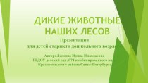 Дикие животные наших лесов