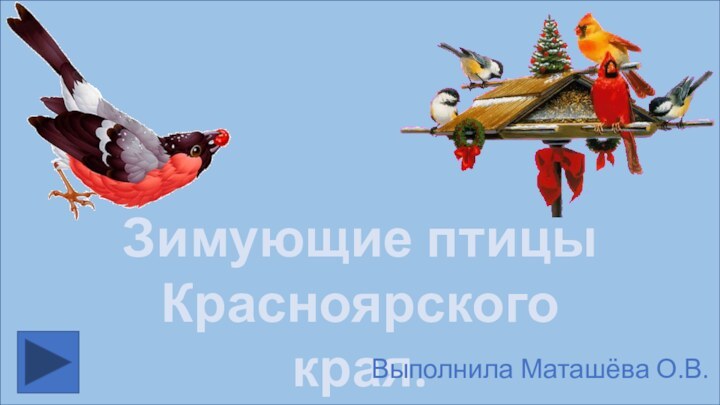 Зимующие птицы Красноярского края.Выполнила Маташёва О.В.