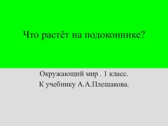 Окружающий мир 1 класс.Что растёт на подоконнике?(презентация) презентация к уроку по окружающему миру (1 класс)