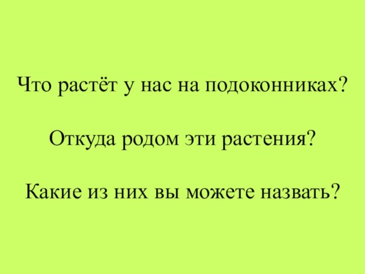 Что растёт у нас на подоконниках?   Откуда родом эти растения?