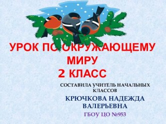 Открытый урок Зимняя жизнь птиц и зверей 2 класс план-конспект урока по окружающему миру (2 класс) по теме