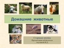 Домашние животные презентация к уроку по окружающему миру (старшая группа)