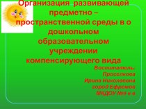 Организация развивающей предметно – пространственной среды в о дошкольном образовательном учреждении компенсирующего вида презентация