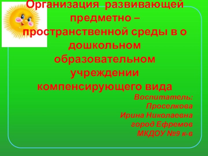 Организация развивающей предметно – пространственной среды в о дошкольном образовательном учреждении