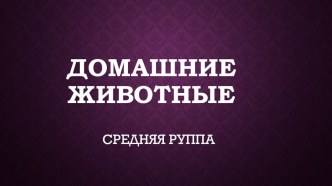 Конспект образовательной деятельности Домашние животные план-конспект занятия по окружающему миру (средняя группа)