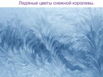 Презентация Ледяные цветы снежной королевы презентация к уроку (старшая группа)