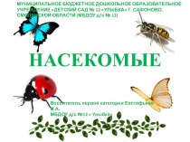 презентация Насекомые презентация урока для интерактивной доски по окружающему миру (средняя группа)