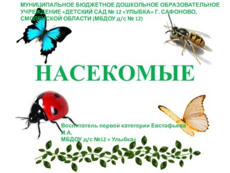 презентация Насекомые презентация урока для интерактивной доски по окружающему миру (средняя группа)