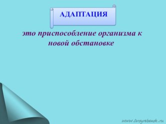 Создание благоприятного воспитательно - образовательного пространства семьи и ДОУ в системе организации адаптации детей младшего возраста проект