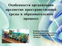 Особенности организации предметно пространственной среды в образовательном процессе