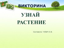 ВикторинаУзнай растение презентация к уроку по окружающему миру по теме