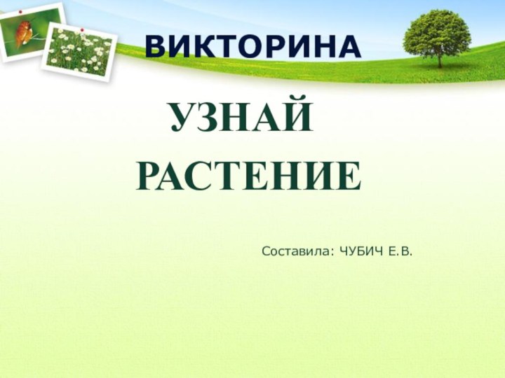 ВИКТОРИНА       УЗНАЙ      РАСТЕНИЕСоставила: ЧУБИЧ Е.В.