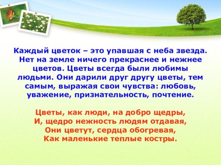 Каждый цветок – это упавшая с неба звезда. Нет на земле ничего