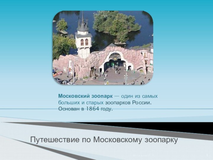 Путешествие по Московскому зоопаркуВасильева С.В.Московский зоопарк — один из самых больших и старых