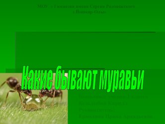 Презентация Какие бывают муравьи презентация к уроку по окружающему миру (1 класс) по теме