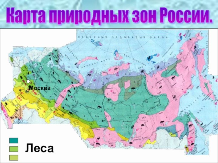 Карта природных зон России. МоскваЛеса
