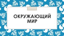 Технологическая карта Какие бывают растения план-конспект урока по окружающему миру (2 класс)