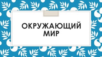 Технологическая карта Какие бывают растения план-конспект урока по окружающему миру (2 класс)