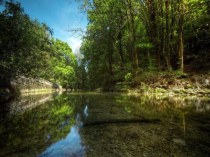 Презентация к внеклассному мероприятию Защитим водоёмы от загрязнения презентация к уроку (2 класс)