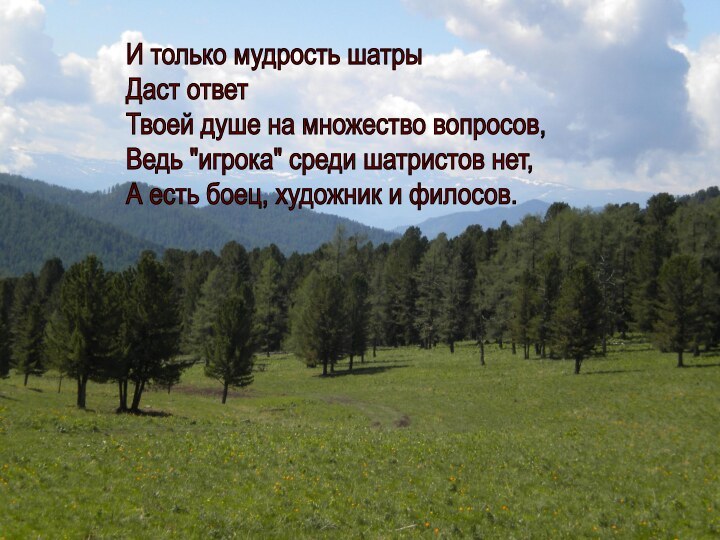 И только мудрость шатры  Даст ответ  Твоей душе на множество