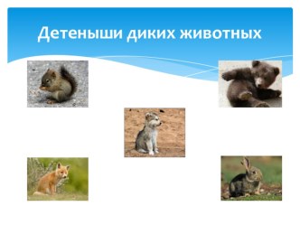 Интерактивная игра Дикие животные (2 часть) презентация урока для интерактивной доски по окружающему миру (средняя группа)