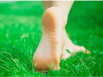 Консультация для родителей по профилактике плоскостопия презентация